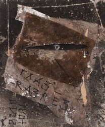 Eye dissection