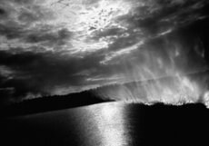From the series 