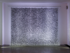 Curtain №1