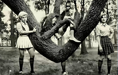 Tree girl. Video