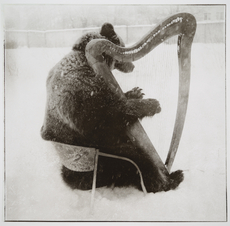 Pound with harp