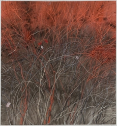 From the series 