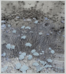 From the series 