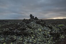 Lanzarote 2017 LZ1 between Orzola and Jameos del Agua [1576]
