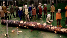 Forest children. Video