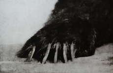 The Bear's Paw (fragment)